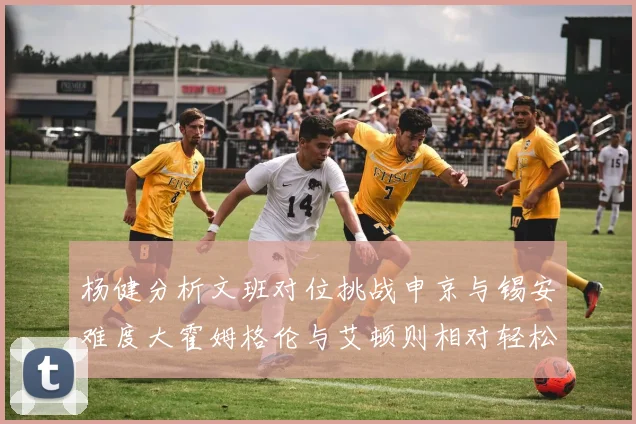 杨健分析文班对位挑战申京与锡安难度大霍姆格伦与艾顿则相对轻松